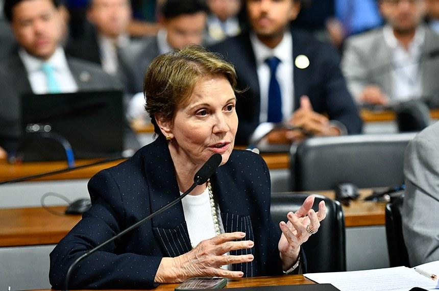 Em Brasília, Tereza Cristina promete foco redobrado em pautas de MS.