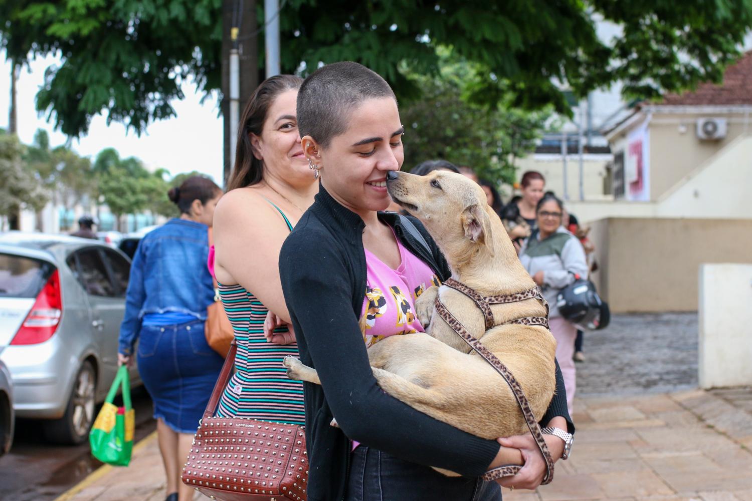 Feira de adoção oferece mais de 50 pets no domingo.