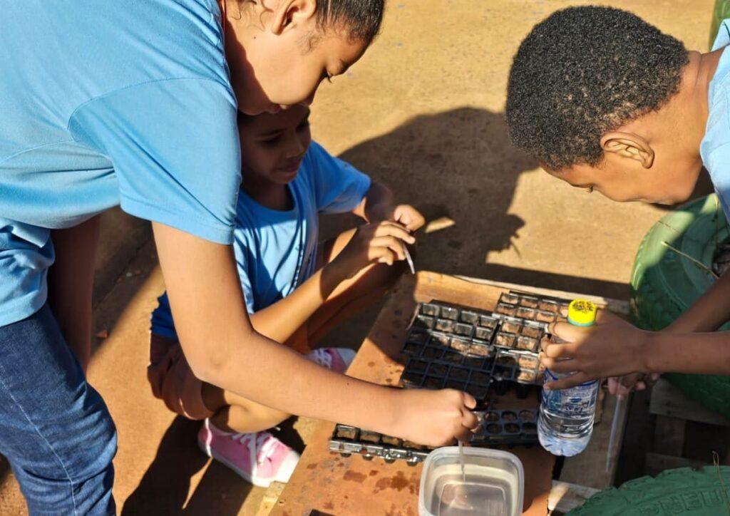 Escola da Reme vence prêmio nacional de educação ambiental.