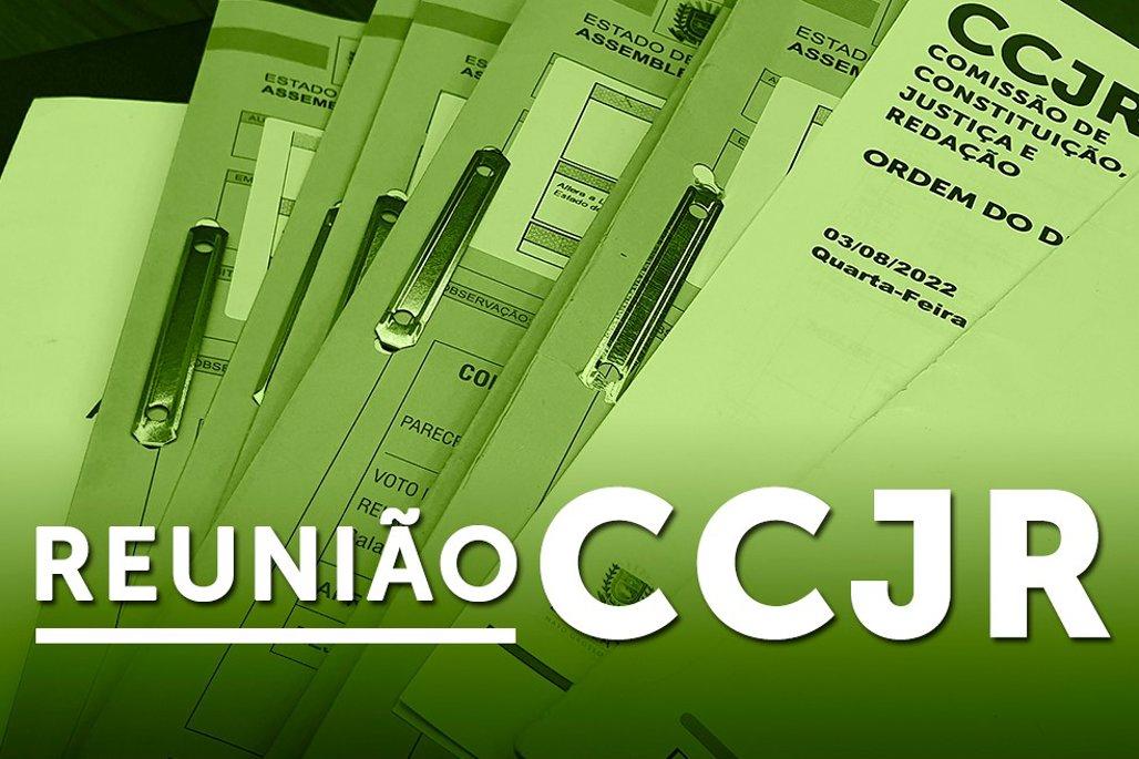CCJR emite seis pareceres favoráveis e apresenta balanço do semestre.