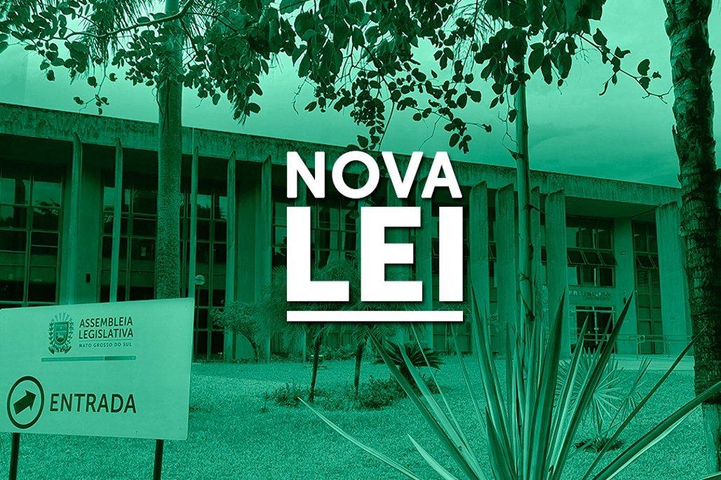 Lei: Servidores públicos têm direito de informar endereço funcional em boletim de ocorrência.