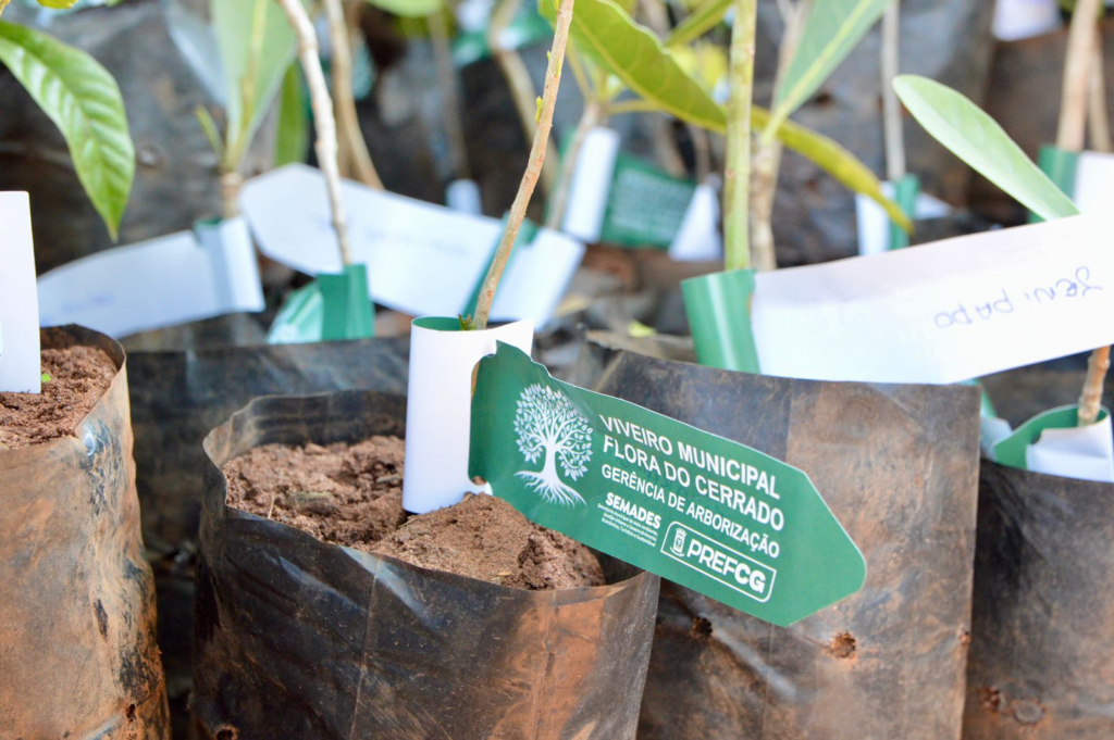 Ação Agro Social leva serviços e apoio ao campo.