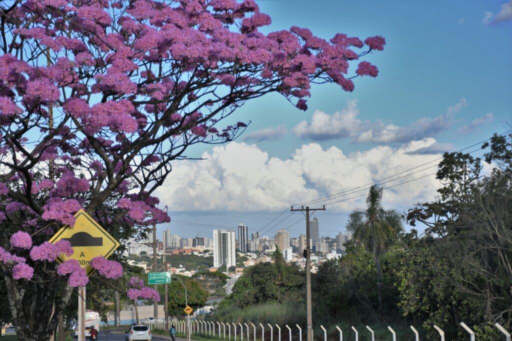 Semana tem avanços em habitação, obras e mobilidade.