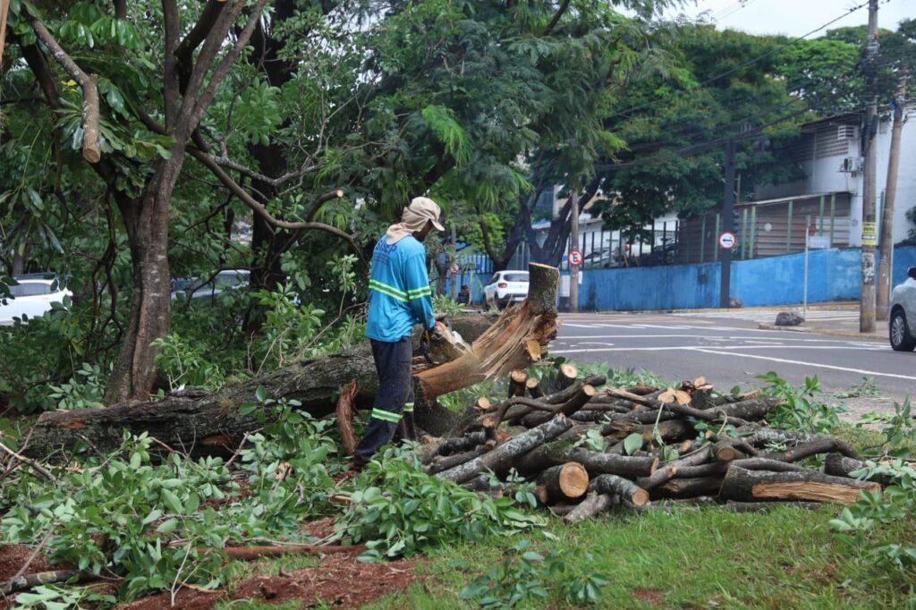 Prevenção climática, ampliação do tapa-buraco e infraestrutura marcam a semana. Prevenção climática, ampliação do tapa-buraco e infraestrutura marcam a semana.