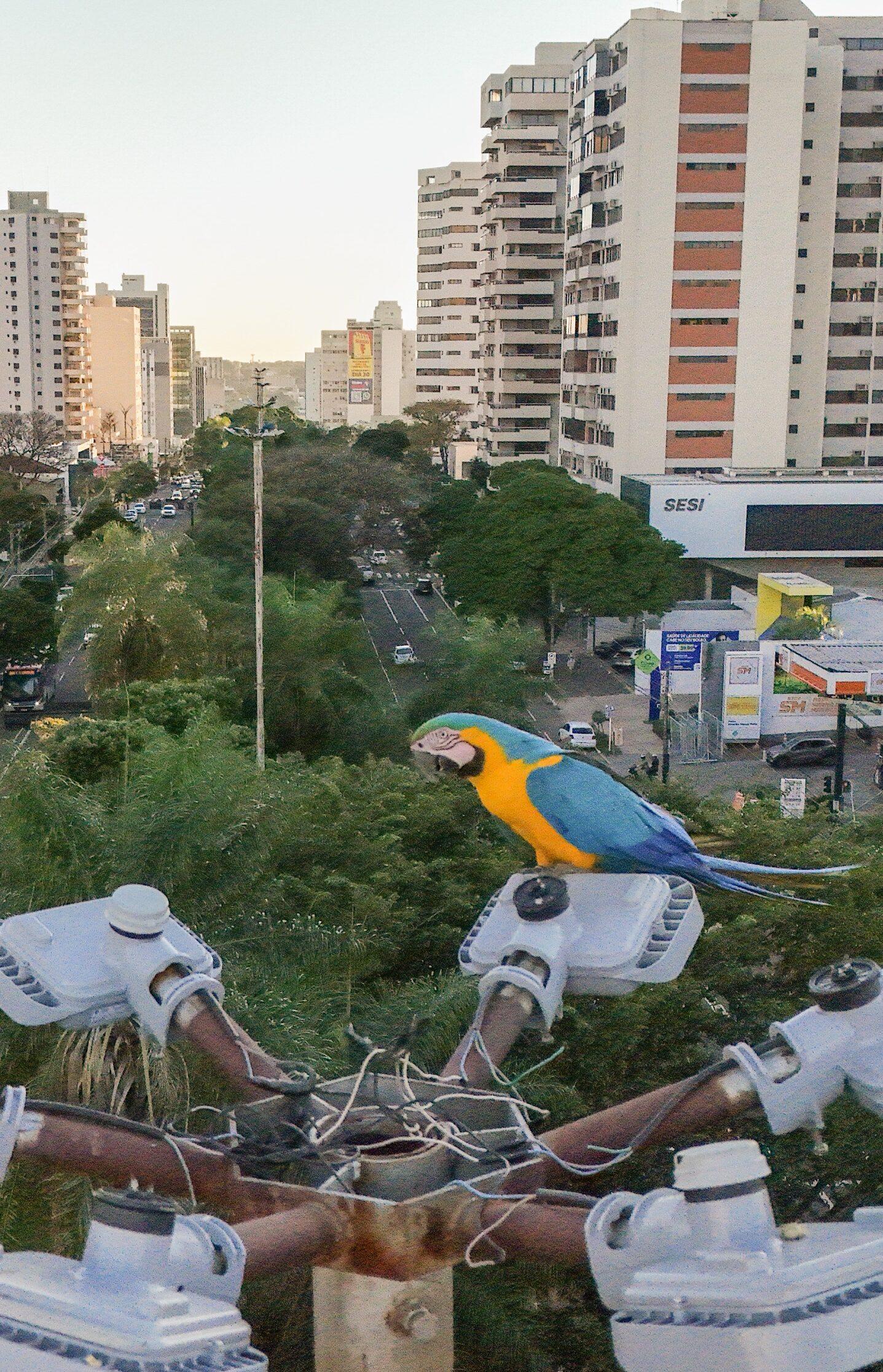 Campo Grande recebe fórum sobre turismo e conservação ambiental. Campo Grande recebe fórum sobre turismo e conservação ambiental.