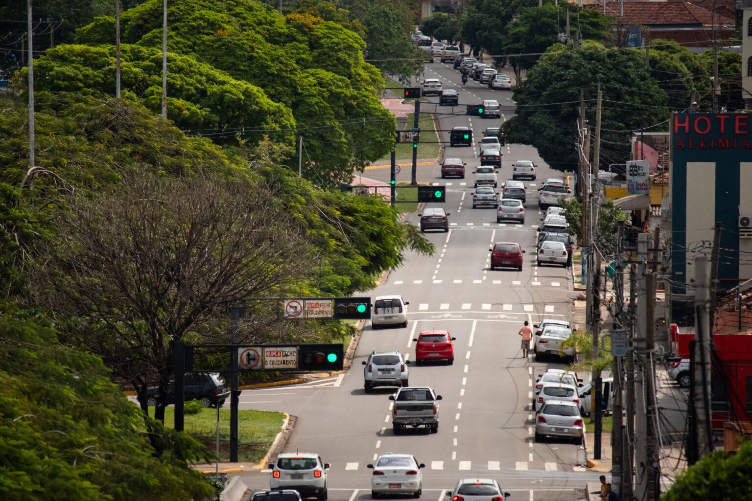 Dia da Árvore reforça importância da arborização na Capital.