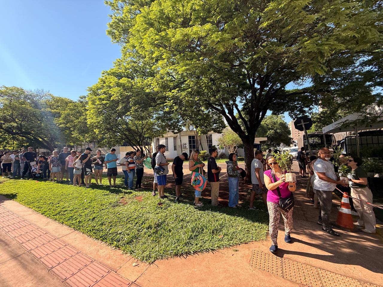 População chega cedo para garantir mudas frutíferas na Capital.
