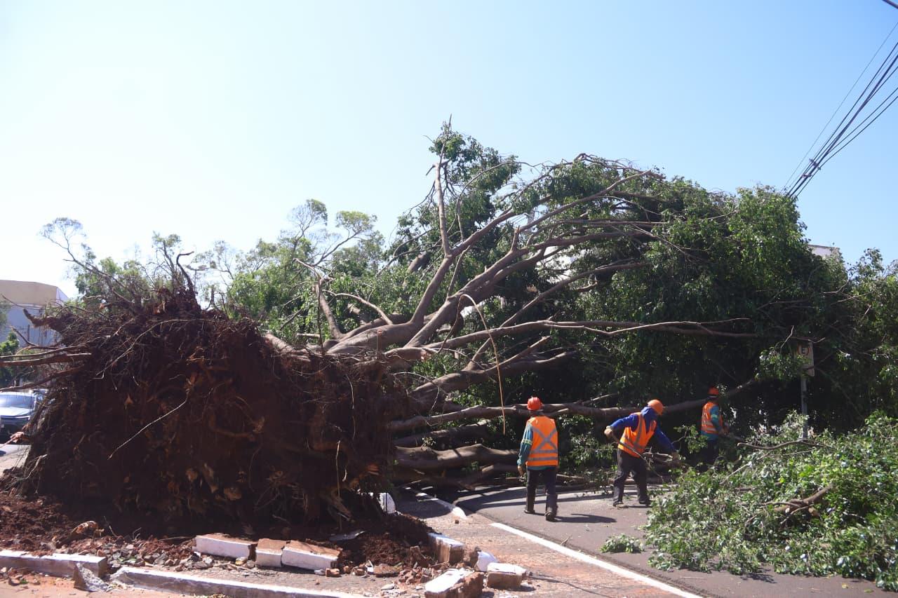 Prefeitura Municipal de Campo Grande avança em mobilidade, educação, regularização e atendimento pós-temporal.