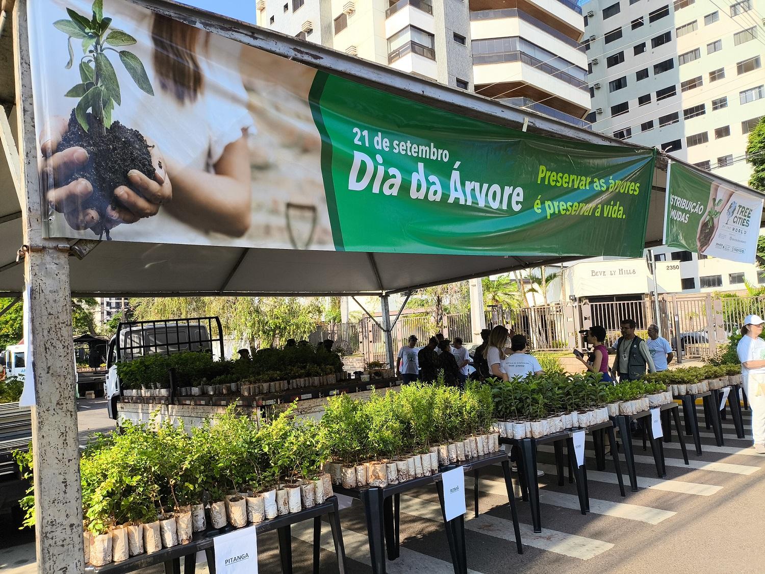 Prefeitura Municipal de Campo Grande distribui 10 mil mudas frutíferas neste sábado.