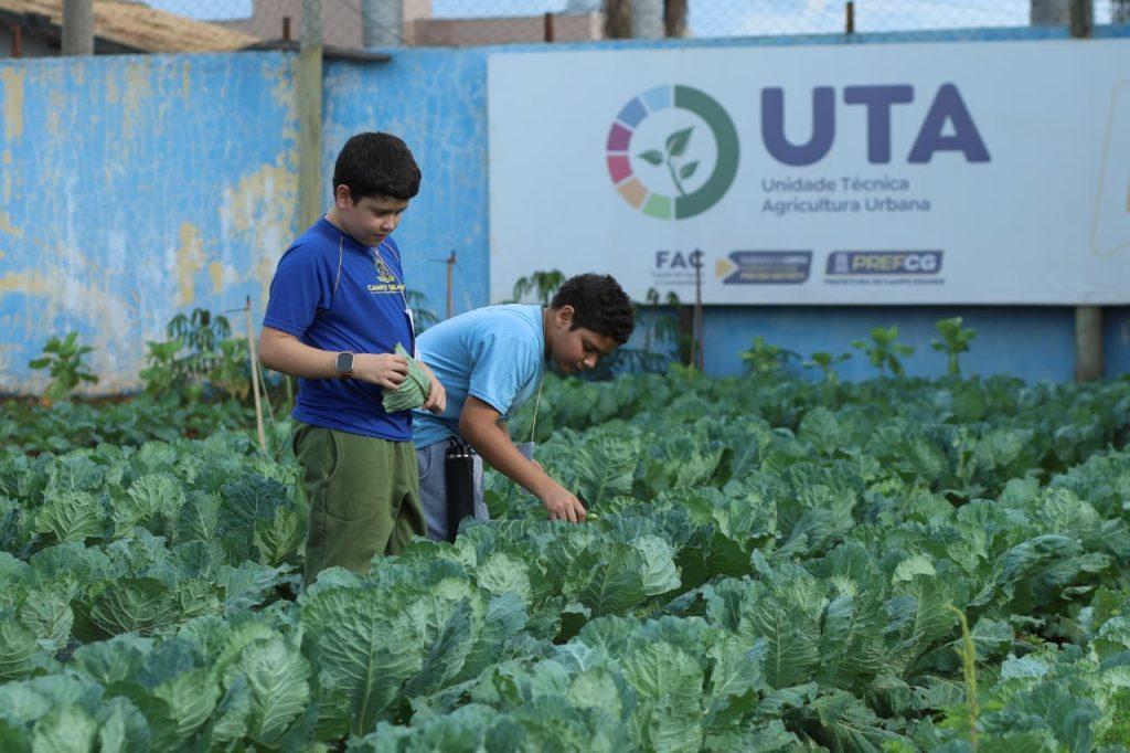 Estudantes da Reme aprendem sobre sustentabilidade na UTA. Estudantes da Reme aprendem sobre sustentabilidade na UTA.