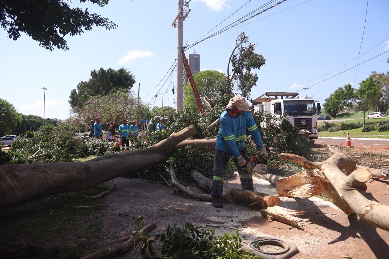 Repasse de R$ 496 mil autorizado pela união será destinado a ações emergenciais da defesa civil em Campo Grande.